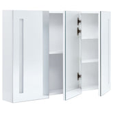 LED Bathroom Mirror Cabinet 35x5.5x24.4